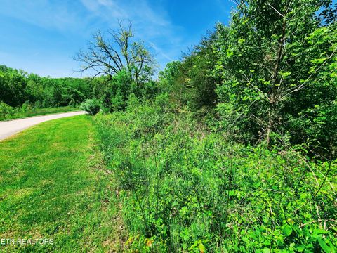 Tiny photo for Melea Lane, Kingston, TN 37763 (MLS # 1342256)