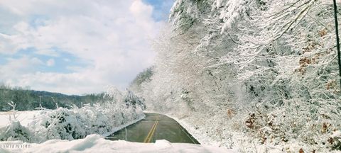 Tiny photo for Melea Lane, Kingston, TN 37763 (MLS # 1342256)