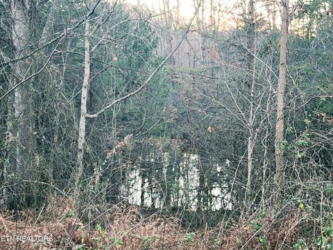 Tiny photo for Melea Lane, Kingston, TN 37763 (MLS # 1342256)