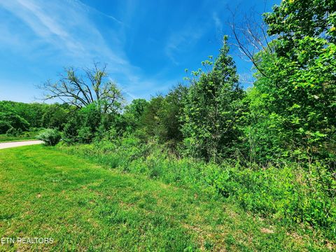 Tiny photo for Melea Lane, Kingston, TN 37763 (MLS # 1342256)