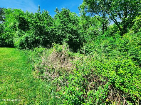 Tiny photo for Melea Lane, Kingston, TN 37763 (MLS # 1342256)