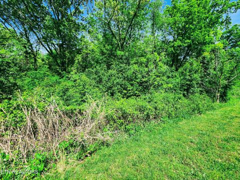 Tiny photo for Melea Lane, Kingston, TN 37763 (MLS # 1342256)