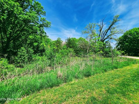 Tiny photo for Melea Lane, Kingston, TN 37763 (MLS # 1342256)