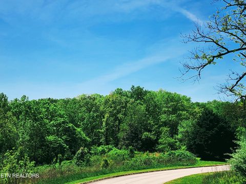 Tiny photo for Melea Lane, Kingston, TN 37763 (MLS # 1342256)
