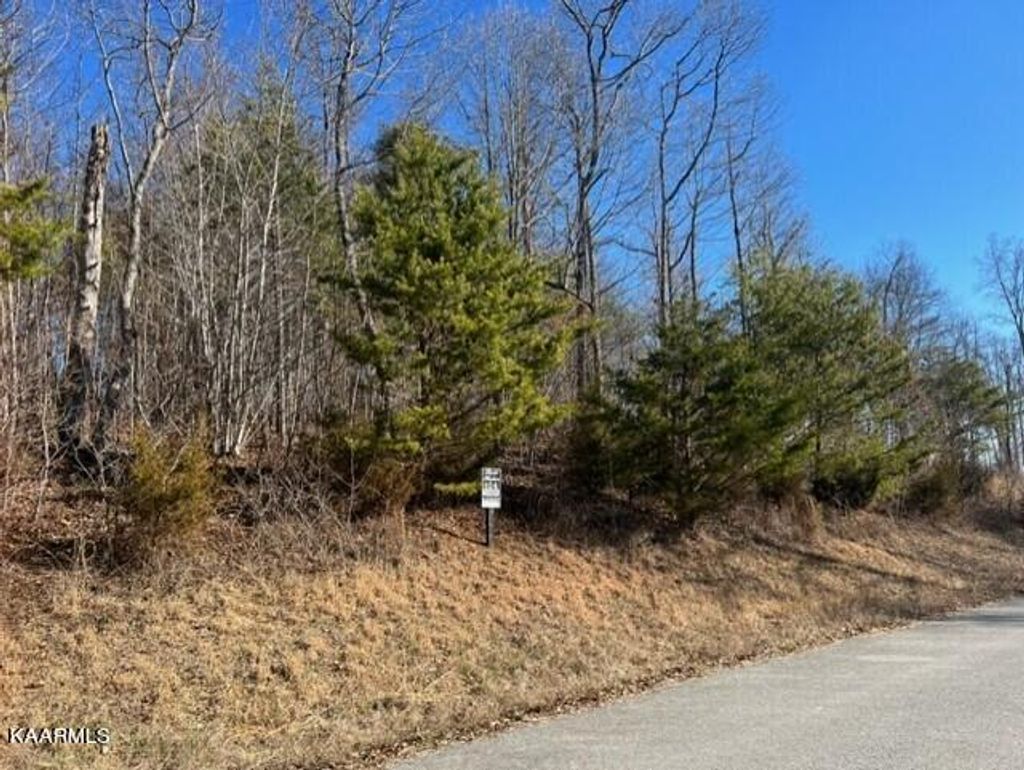 Photo of Flagstone Loop, New Tazewell, TN 37825 (MLS # 1218078)