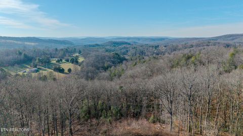 Tiny photo for 133 Hickory Flats Rd, Harriman, TN 37748 (MLS # 1324330)