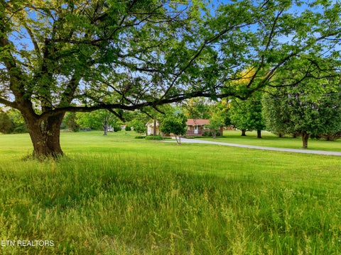 Photo of 819 Rutledge Pike, Blaine, TN 37709 (MLS # 1349885)
