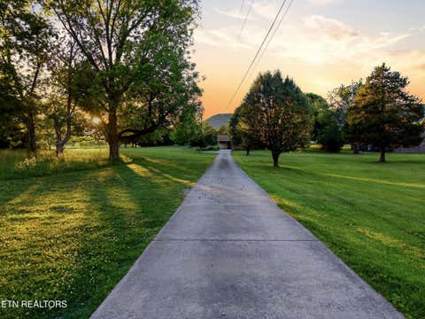 Tiny photo for 819 Rutledge Pike, Blaine, TN 37709 (MLS # 1349885)
