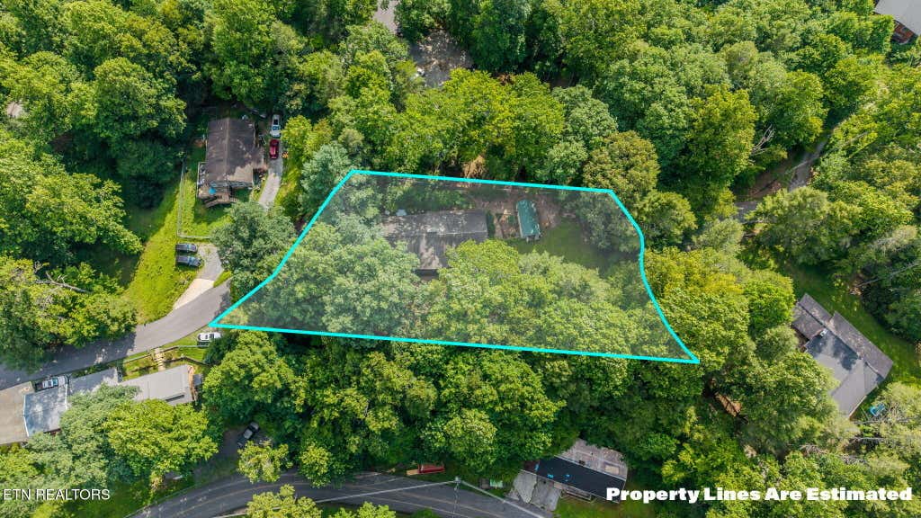 Photo of 543 Reba Lane, Gatlinburg, TN 37738 (MLS # 1347779)