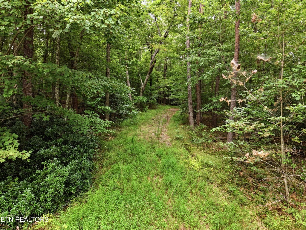 Photo of 574 River Rd, Crossville, TN 38572 (MLS # 1354053)