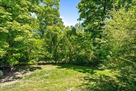 Tiny photo for 905 Pinecrest Rd, Jacksboro, TN 37757 (MLS # 1339443)