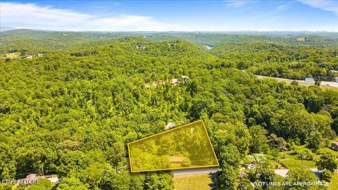 Tiny photo for 905 Pinecrest Rd, Jacksboro, TN 37757 (MLS # 1339443)