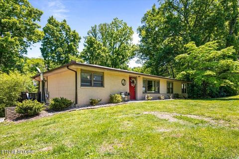Tiny photo for 905 Pinecrest Rd, Jacksboro, TN 37757 (MLS # 1339443)