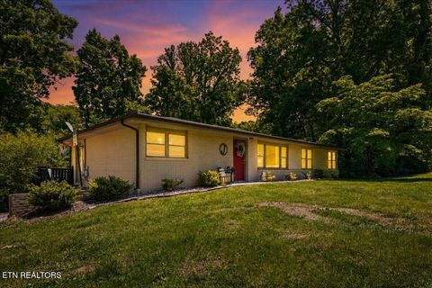 Tiny photo for 905 Pinecrest Rd, Jacksboro, TN 37757 (MLS # 1339443)