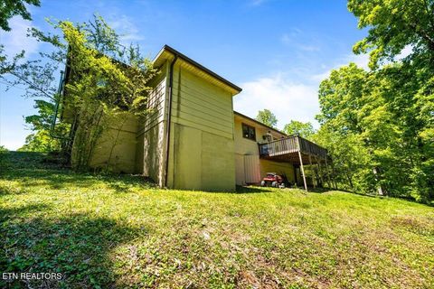 Tiny photo for 905 Pinecrest Rd, Jacksboro, TN 37757 (MLS # 1339443)