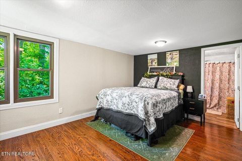 Tiny photo for 905 Pinecrest Rd, Jacksboro, TN 37757 (MLS # 1339443)