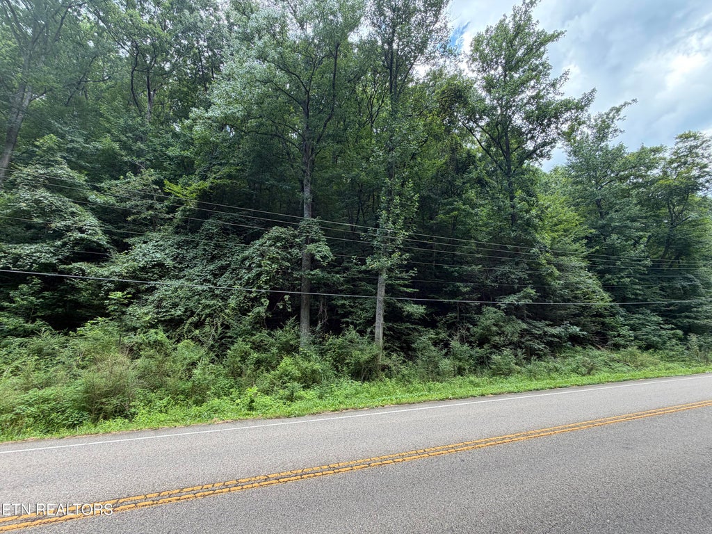 Photo of 0 Ruritan Rd #509, Harriman, TN 37748 (MLS # 1348616)