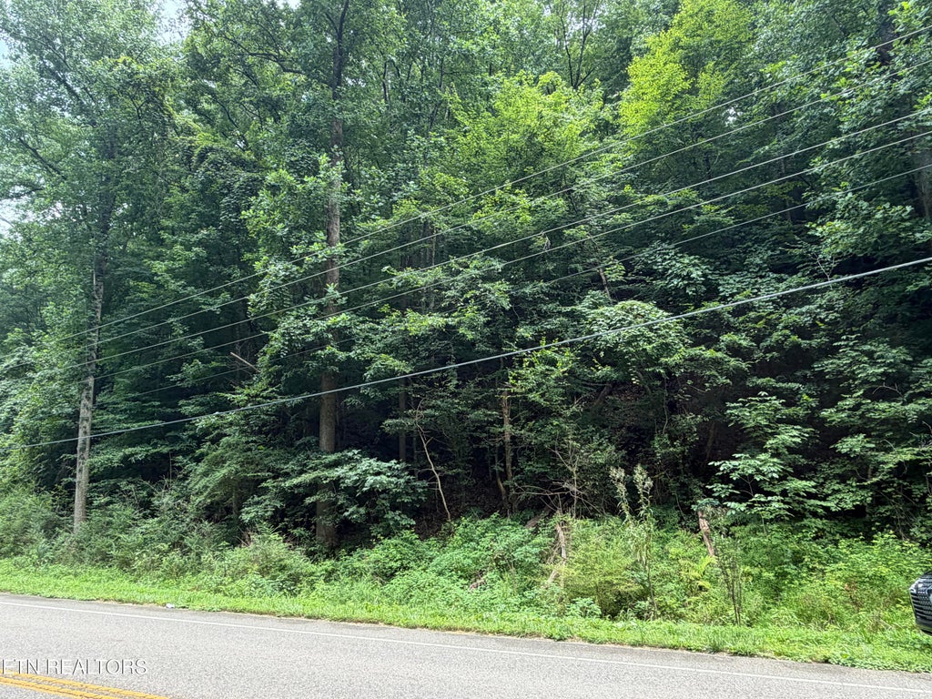 Photo of 0 Ruritan Rd #509, Harriman, TN 37748 (MLS # 1348616)