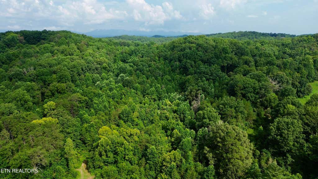 Photo of W Raccoon Valley Drive, Heiskell, TN 37754 (MLS # 1349902)