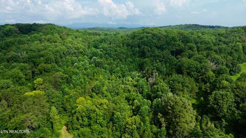 Photo of W Raccoon Valley Drive, Heiskell, TN 37754 (MLS # 1349902)