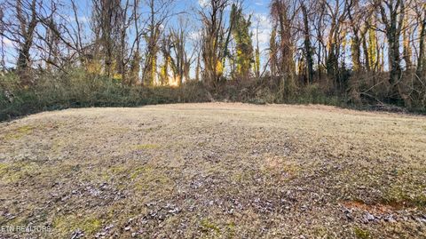 Tiny photo for 800 Gertrude Ave, Knoxville, TN 37920 (MLS # 1327887)