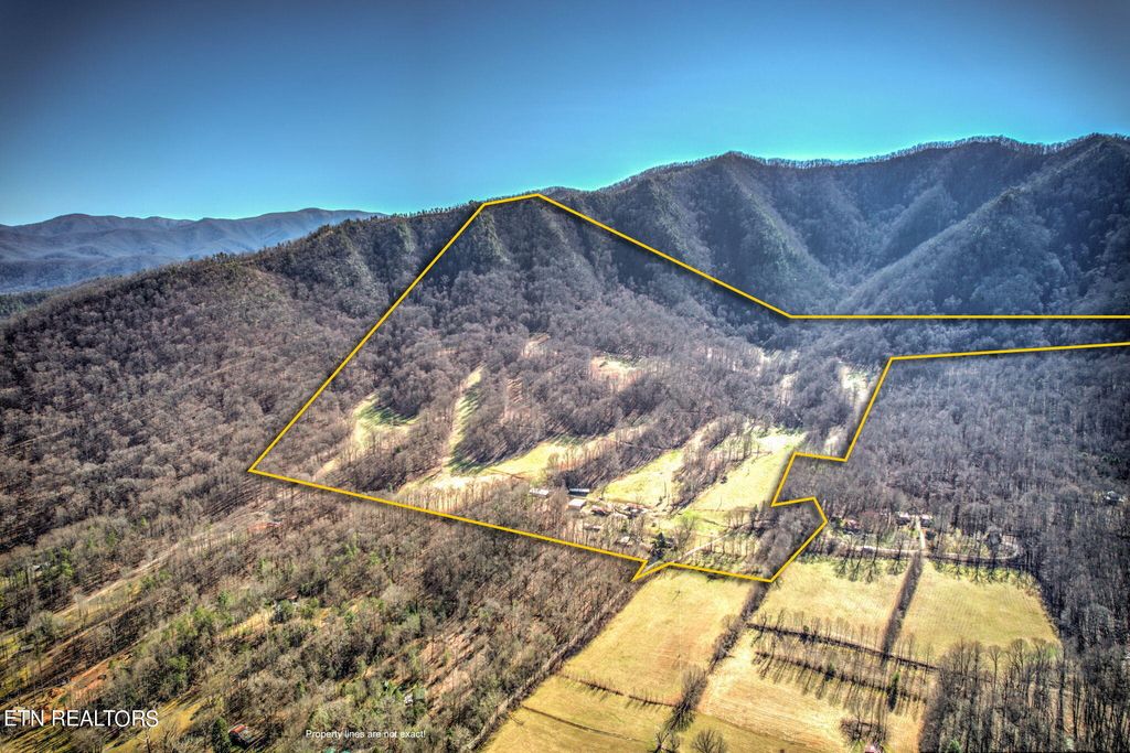 Photo of 172 Pam Lane, Townsend, TN 37882 (MLS # 1252983)