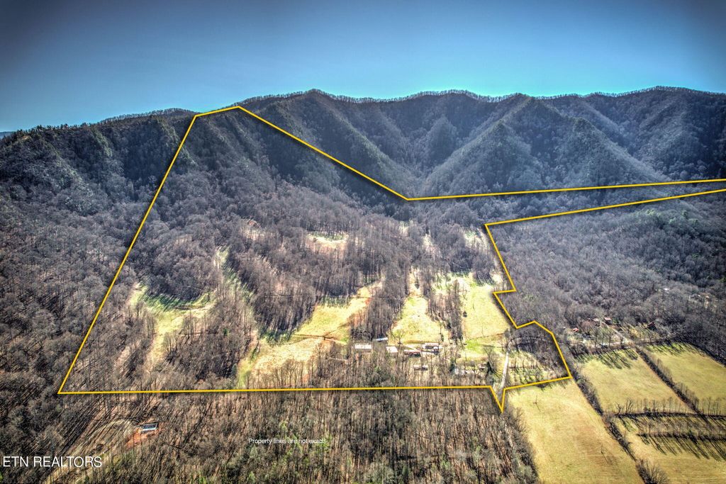 Photo of 172 Pam Lane, Townsend, TN 37882 (MLS # 1252983)