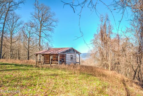 172 Pam Lane Townsend TN 37882