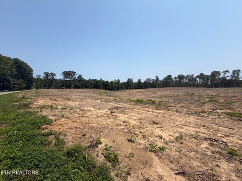 Tiny photo for 288 Government Pond Rd, Jamestown, TN 38556 (MLS # 1349671)