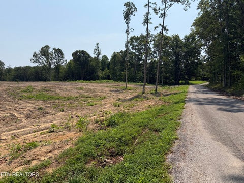 Tiny photo for 288 Government Pond Rd, Jamestown, TN 38556 (MLS # 1349671)