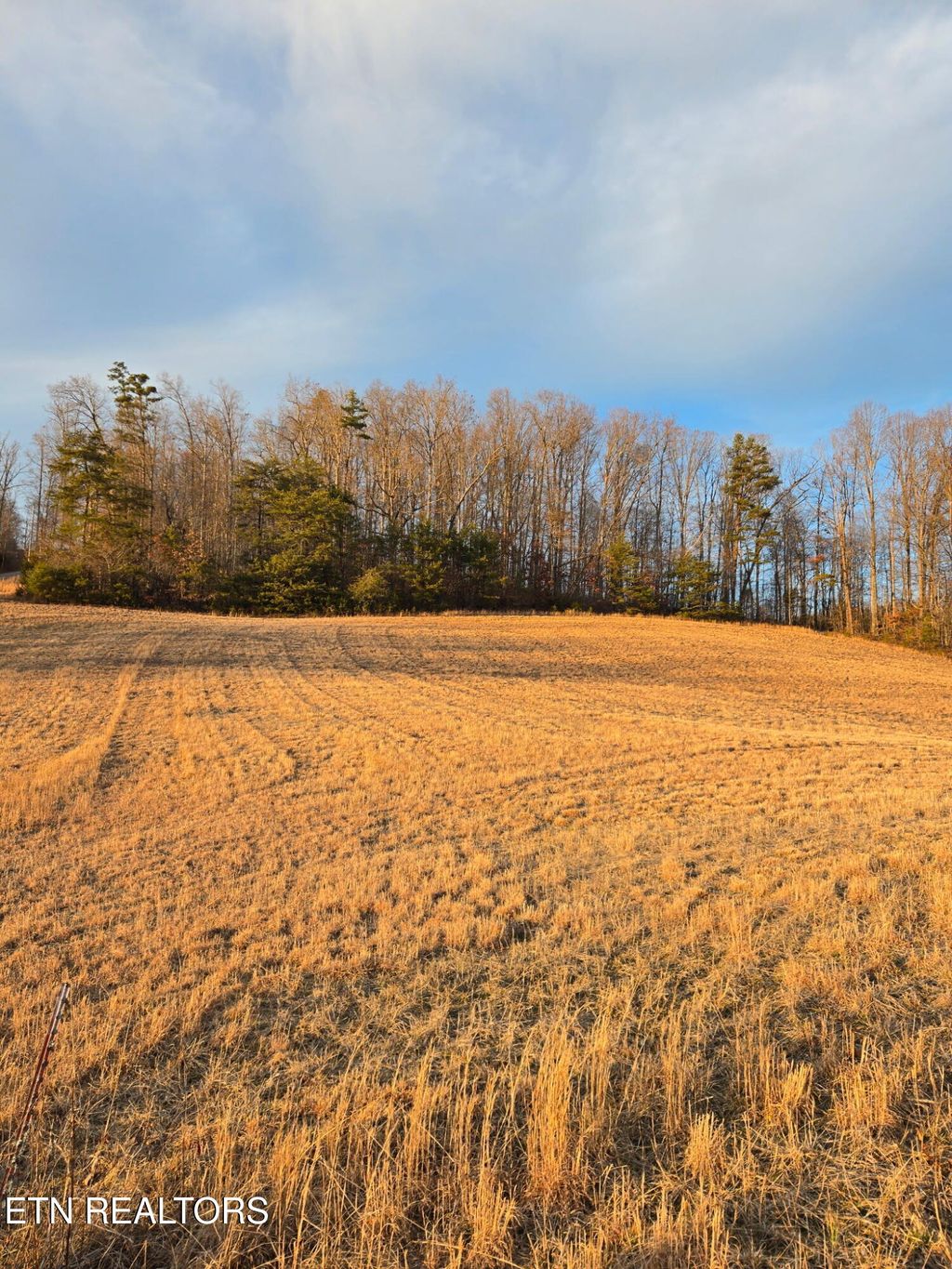 Photo of Monroe Lane, Sharps Chapel, TN 37866 (MLS # 1330564)