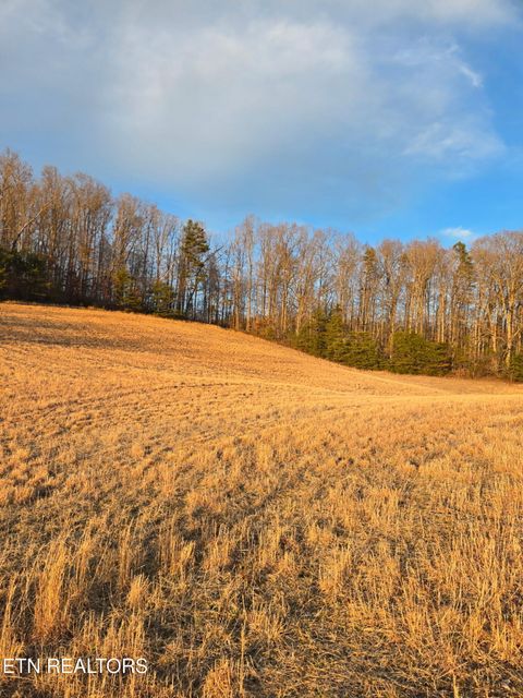 Photo of Monroe Lane, Sharps Chapel, TN 37866 (MLS # 1330564)