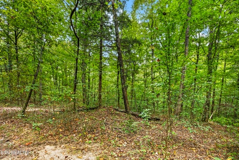 Tiny photo for 2023 24 Timber Ridge Lane, Celina, TN 38551 (MLS # 1359397)