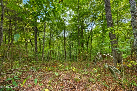Tiny photo for 2023 24 Timber Ridge Lane, Celina, TN 38551 (MLS # 1359397)