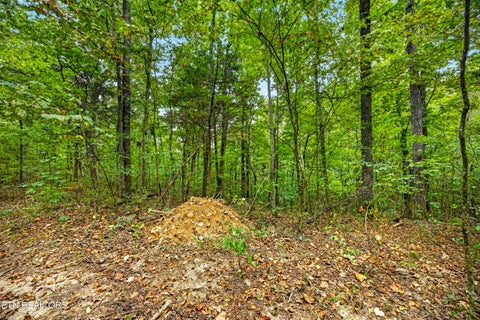 Tiny photo for 2023 24 Timber Ridge Lane, Celina, TN 38551 (MLS # 1359397)