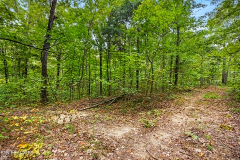 Tiny photo for 2023 24 Timber Ridge Lane, Celina, TN 38551 (MLS # 1359397)