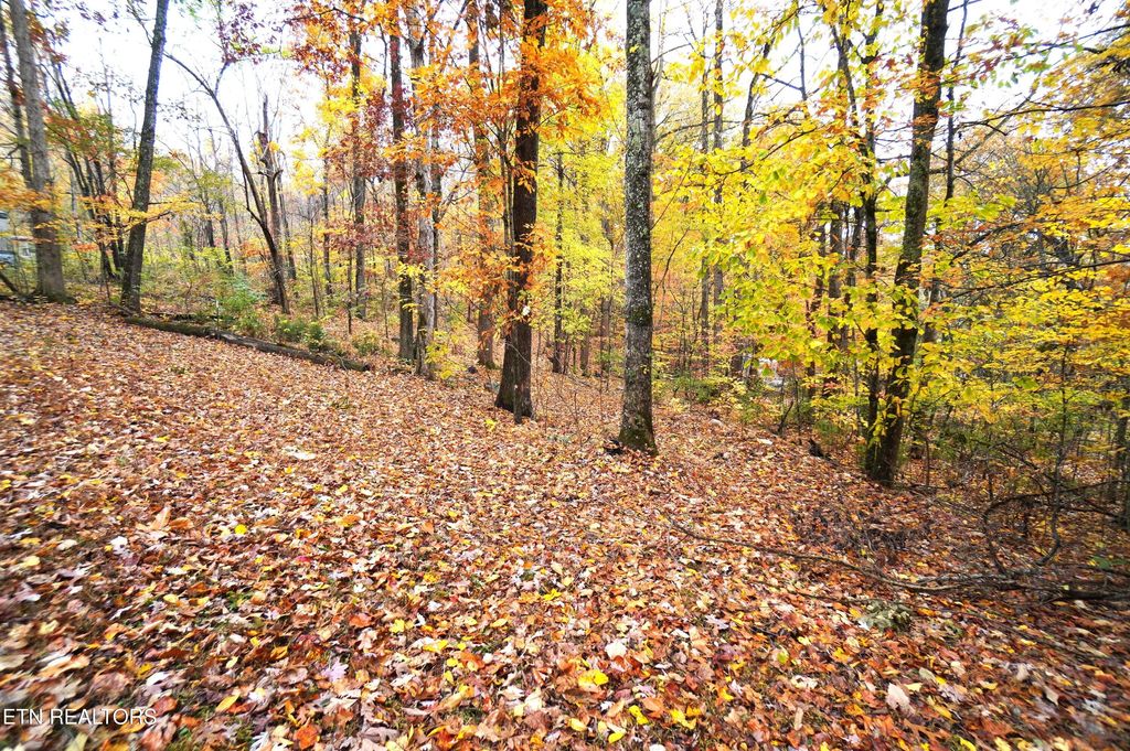 Photo of 3860 Collier Loop, Dandridge, TN 37725 (MLS # 1321459)