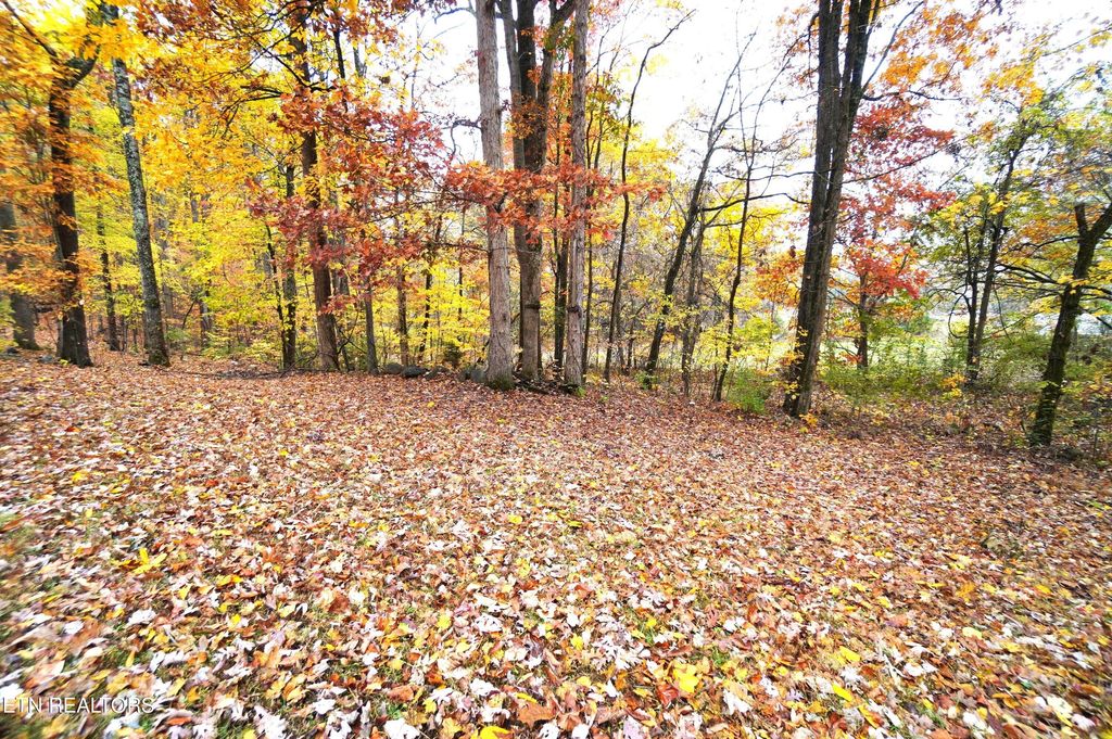 Photo of 3860 Collier Loop, Dandridge, TN 37725 (MLS # 1321459)