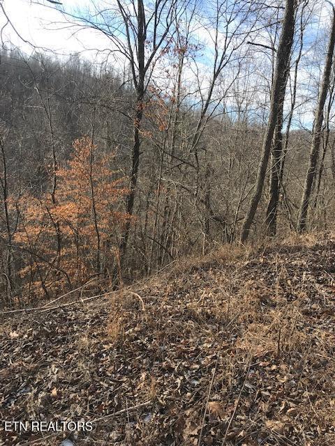 Photo of 19007 E of US RT 27, Sunbright, TN 37872 (MLS # 1288510)
