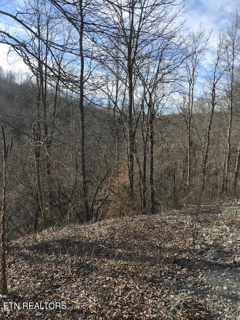 Photo of 19007 E of US RT 27, Sunbright, TN 37872 (MLS # 1288510)