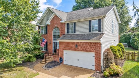 1126 Willowood Rd Knoxville TN 37922