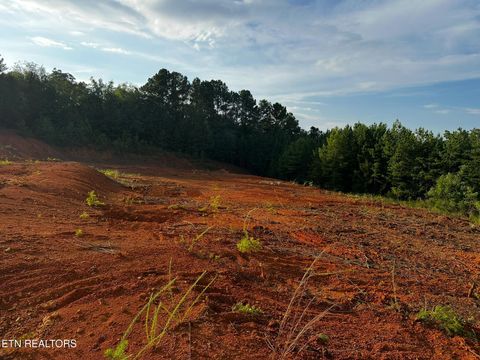 Tiny photo for E Meeting St, Dandridge, TN 37725 (MLS # 1327184)