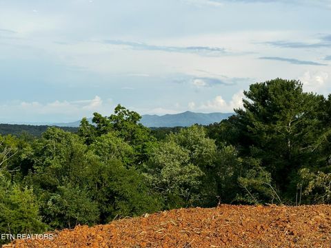 Tiny photo for E Meeting St, Dandridge, TN 37725 (MLS # 1327184)