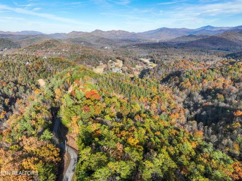 Tiny photo for Bear Den Rd, Townsend, TN 37882 (MLS # 1320212)