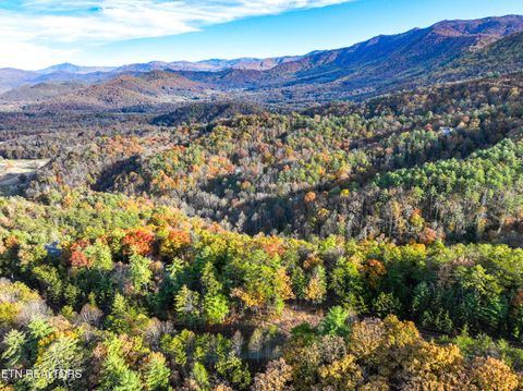 Tiny photo for Bear Den Rd, Townsend, TN 37882 (MLS # 1320212)