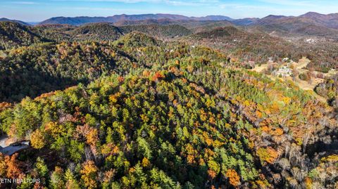 Tiny photo for Bear Den Rd, Townsend, TN 37882 (MLS # 1320212)