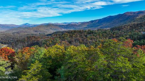 Tiny photo for Bear Den Rd, Townsend, TN 37882 (MLS # 1320212)