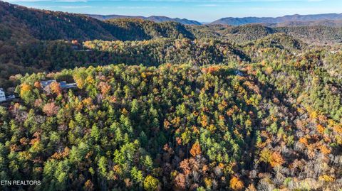 Tiny photo for Bear Den Rd, Townsend, TN 37882 (MLS # 1320212)