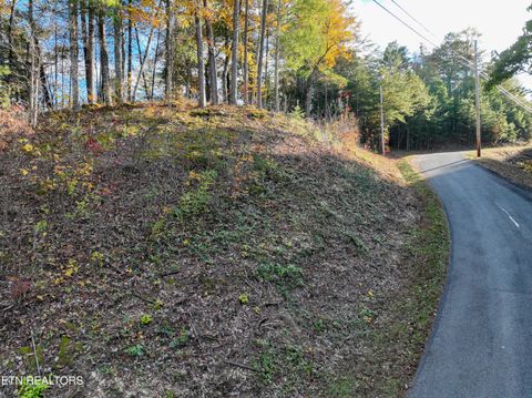 Tiny photo for Bear Den Rd, Townsend, TN 37882 (MLS # 1320212)