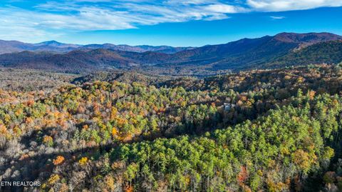 Tiny photo for Bear Den Rd, Townsend, TN 37882 (MLS # 1320212)